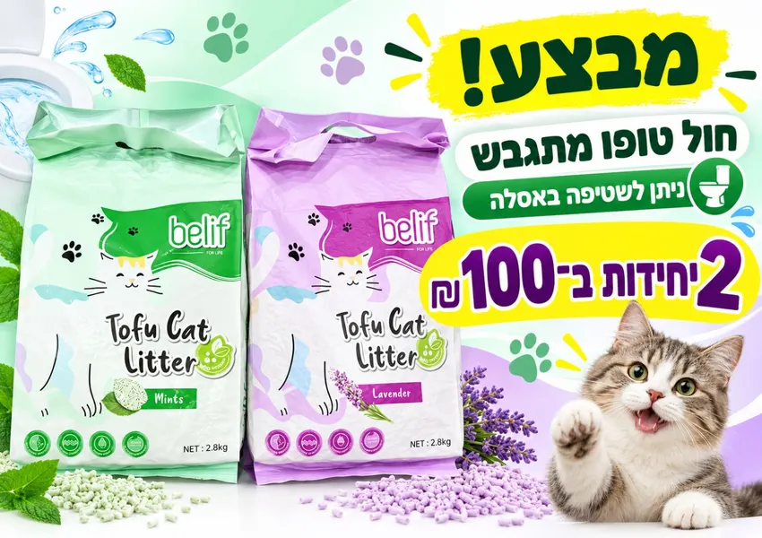 חול טופו מתגבש — 2 ב־100 ₪