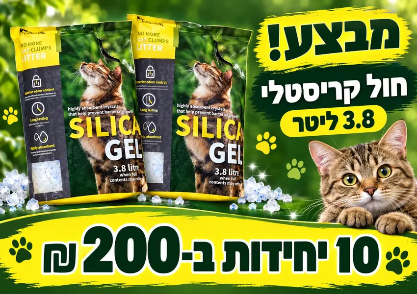 חול קריסטלי 3.8 ליטר — 10 ב־200 ₪