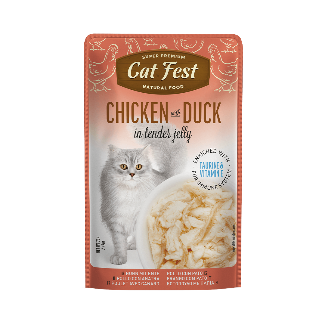 CATFEST פאוץ לחתול עוף ברווז