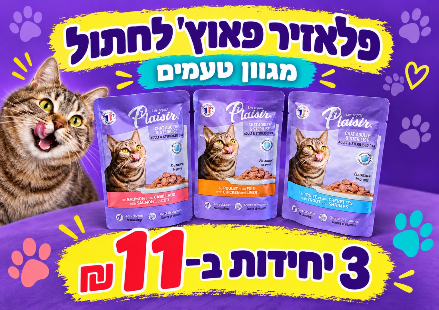 פלאזיר פאוץ׳ לחתול — 3 ב־11 ₪